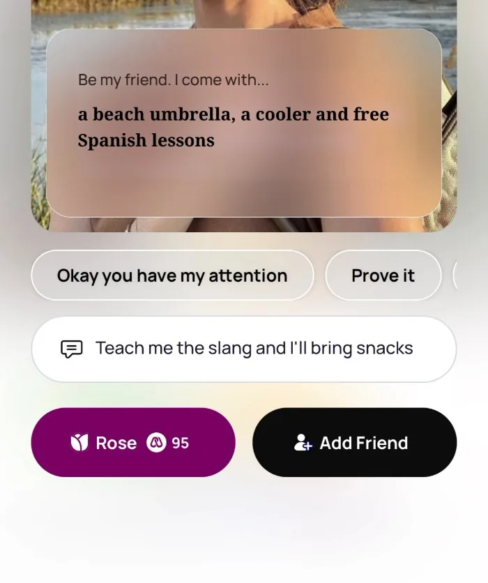 Replying on Alyke to a prompt that reads Be my friend. I come with a beach umbrella, a cooler and free Spanish lessons, with Teach me the slang and I'll bring snacks typed in above the Rose and Add Friend buttons