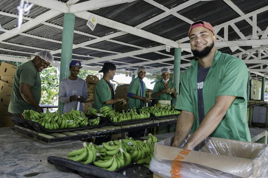 Two volunteers laughing while they sort produce