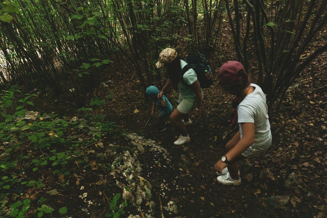 Volunteers doing trail work on a woodland path